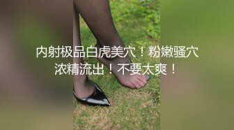 夢魔小鎮柯爾內莉卡 2