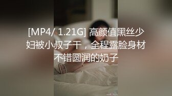 未知情侣的爱情【中集】