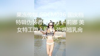 痴女捜査官～射精审问技巧篇 森川安奈