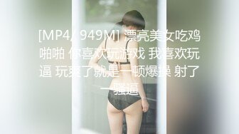 你的可爱小女仆已上线