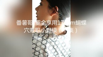 洋气西装弟弟【先导篇】