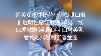 [MP4]极品秘书系列豪华公寓落地窗前后入OL制服装豪乳女秘书