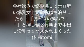 会社饮みで终电逃してホロ酔い爆乳女上司の家にお泊りしたら… 「おっぱい揉んで！！」と押し倒され朝まで中出し没乳セックスされまくった仆 Hitomi