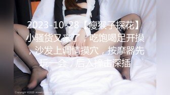 [MP4/2.28G]2023-11-27安防精品这就是爱穿jk穿过膝袜乖乖女真实的样子吗