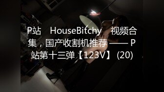 P站⭐ HouseBitchy ⭐视频合集，国产收割机推荐 —— P站第十三弹【123V】 (20)