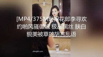 [MP4/375MB]探花郎李寻欢约啪风骚御姐 极品黑丝 肤白貌美被草的胡言乱语