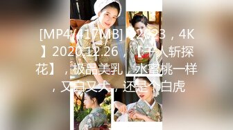 优雅气质尤物御姐女神开档渔网袜性感人妻 戴着肛塞酒店偷情约会，公司高冷女神其实是一条欠操母狗