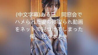 (中文字幕)ある日、同窓会でハメられた妻の寝取られ動画をネットで見つけてしまった俺。 佐々木あき