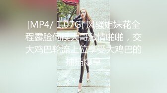 【69极品探花】巅峰之夜，网红脸外围小姐姐，美艳动人，沙发啪啪后入女神