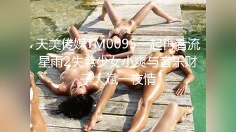 天美传媒TM0095一起再看流星雨2失意少女小爽与音乐财子大斌一夜情