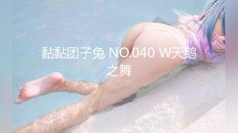 黏黏团子兔 NO.040 W天鹅之舞