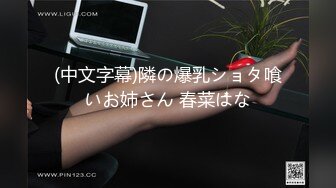 [原創錄制](no_sex)20240118_AI老婆はな