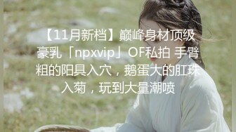 【11月新档】巅峰身材顶级豪乳「npxvip」OF私拍 手臂粗的阳具入穴，鹅蛋大的肛珠入菊，玩到大量潮喷