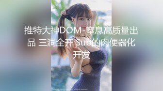 推特大神DOM-窒息高质量出品 三洞全开 Sub的肉便器化开发