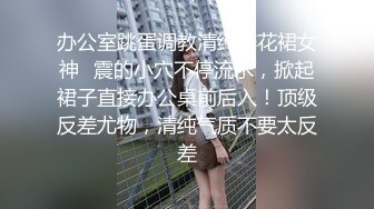 淫荡对白销魂呻吟，推特约炮大咖【夏次健】自传，调教爆肏巨乳肥臀小母狗，无套暴力输出肏到尖叫喊爸爸 (19)