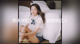 郊区车震小少妇