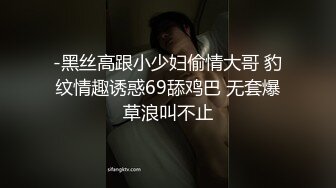 情趣酒店开档丝袜加性爱小板凳