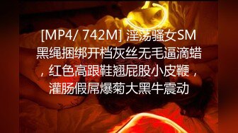 [MP4/ 742M] 淫荡骚女SM黑绳捆绑开档灰丝无毛逼滴蜡，红色高跟鞋翘屁股小皮鞭，灌肠假屌爆菊大黑牛震动