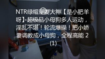 NTR绿帽淫妻大神【是小肥羊呀】超极品小母狗多人运动，淫乱不堪！轮流爆操！把小娇妻调教成小母狗，全程高能 2 (1)