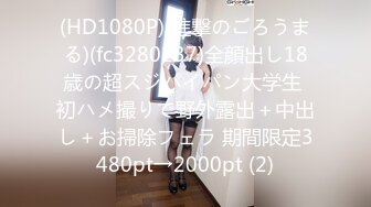 星之迟迟 2023 4月计划A【莱莎的炼金工坊2-莱莎】