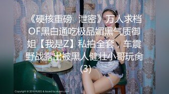 《硬核重磅✅泄密》万人求档OF黑白通吃极品媚黑气质御姐【我是Z】私拍全套，车震野战露出被黑人健壮小哥玩肏 (3)