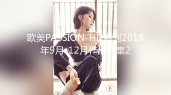 欧美PASSION-HD系列2018年9月-12月作品合集2