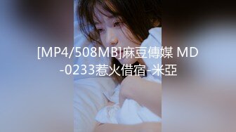 [MP4/508MB]麻豆傳媒 MD-0233惹火借宿-米亞