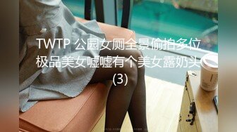 TWTP 公园女厕全景偷拍多位极品美女嘘嘘有个美女露奶头 (3)