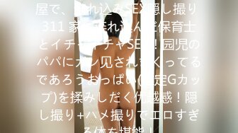 百戦錬磨のナンパ师のヤリ部屋で、连れ込みSEX隠し撮り 311 家に连れ込んだ保育士とイチャイチャSEX！园児のパパにガン见されまくってるであろうおっぱい(推定Gカップ)を揉みしだく优越感！隠し撮り+ハメ撮りでエロすぎる体を堪能！