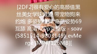 [2DF2] 麻豆企划30天 第二天麻豆老私藏的国产大片top5 - soav_evMerge[MP4/84MB][BT种子]