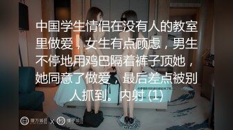 当老师的骚老婆轻熟妇被单男干