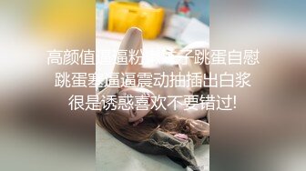 《极品泄密?稀缺资源》私密电报付费群贵宾席专属福利空姐制服篇~各种白富美空姐生活中温柔贤惠私下极度反差