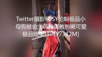 Twitter摄影师 SY伦啊极品小母狗被金主各种调教粉嫩可爱极品炮架[301P/382M]