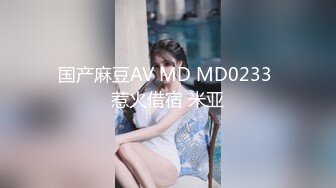 国产麻豆AV MD MD0233 惹火借宿 米亚