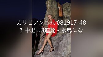 カリビアンコム 081917-483 中出し3連発 - 水島にな