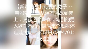 [MP4/1720M]1/1最新 情趣丝袜兔耳朵全身诱惑乳房夹肉棒VIP1196